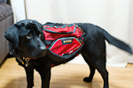 Ruff ware